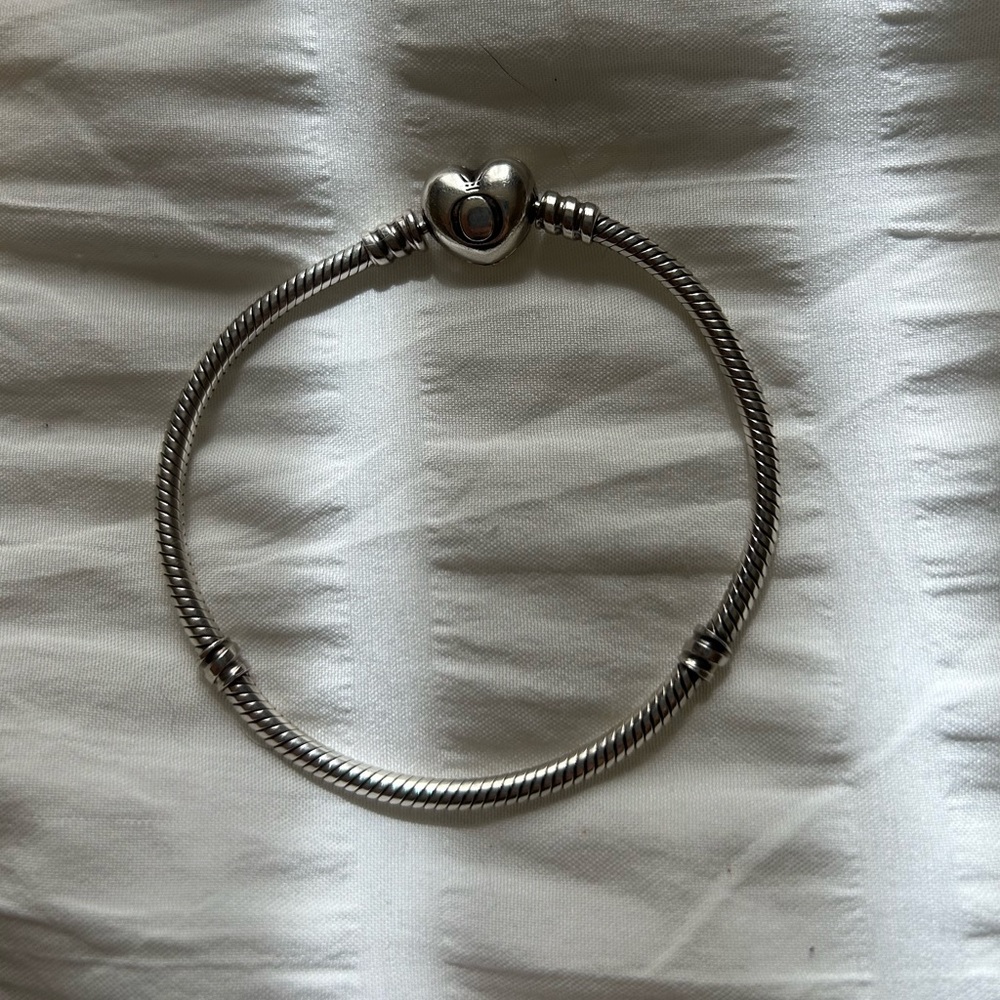 pandora charm bracelet